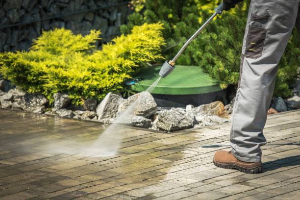 Best Roof Cleaning and Mildew Removal in Holstein, IA