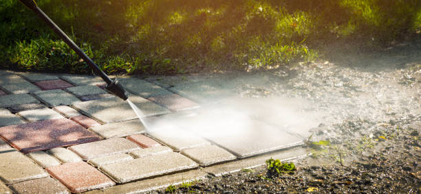 Best Driveway Cleaning and Restoration in Holstein, IA